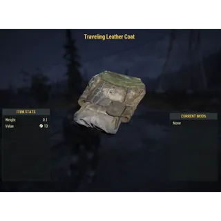 ( Xbox ) Traveling Leather Coat