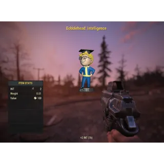 ( Xbox ) Bobblehead Intelligence 1000