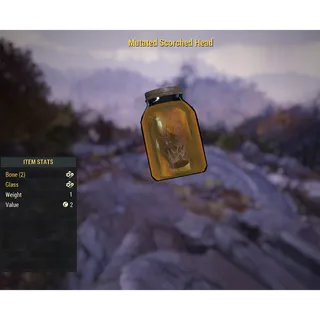 ( Xbox ) Mutated Scorched Head