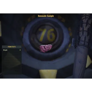 ( Xbox ) Xenxoate Sample ( Displayable Item )