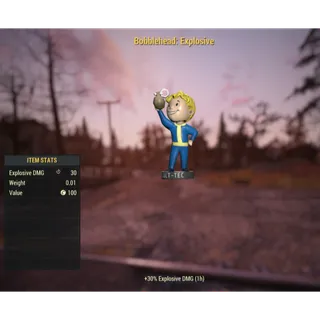 ( PS4 / PS5 ) Bobblehead: Explosive 500