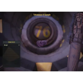 ( Xbox ) Tetratoxus-6 Sample ( Displayable Item )