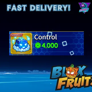 Blox Fruits: Control (Permanent)
