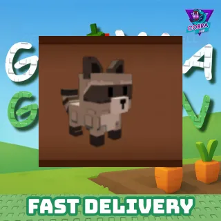 Grow A Garden: Raccoon