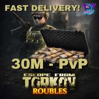 Escape from Tarkov - 30M Roubles