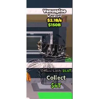  Venuspino PHANTOM 2.1B/S
