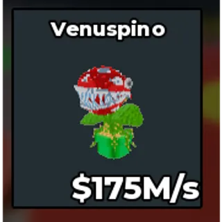 Venuspino