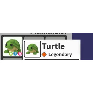Turtle NFR