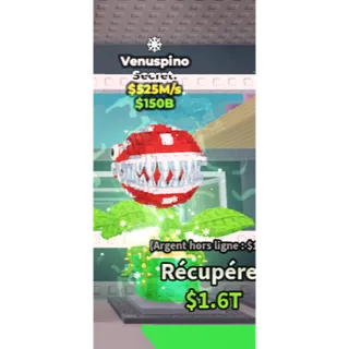 Venuspino 525M/S