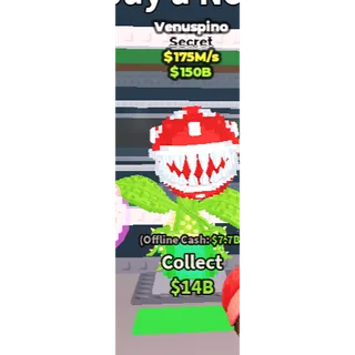 Venuspino