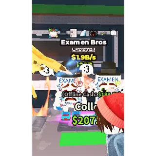 Examen Bros 1.9B/S