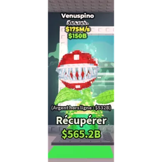 Venuspino
