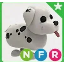 neon dalmatian NFR