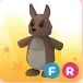 Kangaroo FR