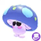 mushroom friend