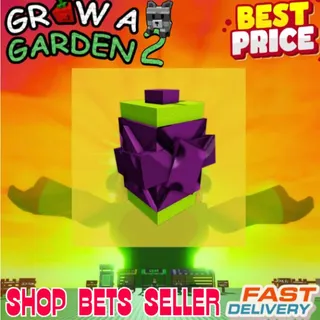 5x Venus Fly Trap