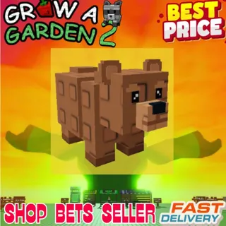 5x Bear grow a garden 2