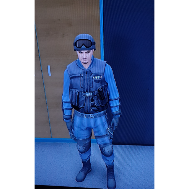 Gta online police clearance outfit