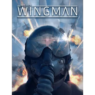 Project Wingman | STEAM | INSTANT KEY DELIVERY