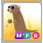 🐈 MFR Meerkat 🐈 | Adopt Me