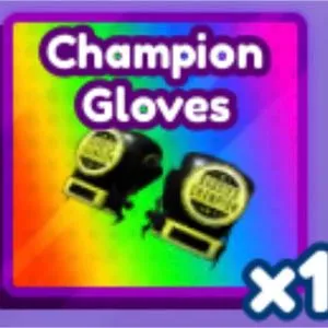 Champion gloves 