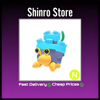 Neon Castle Hermit Crab
