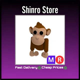 Mr Monkey