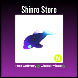 Neon Glormy Dolphin