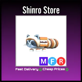 Mfr S'mores Raccoon