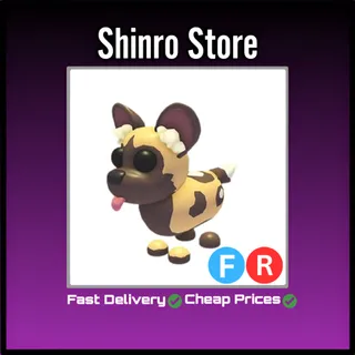 Fr African Wild Dog