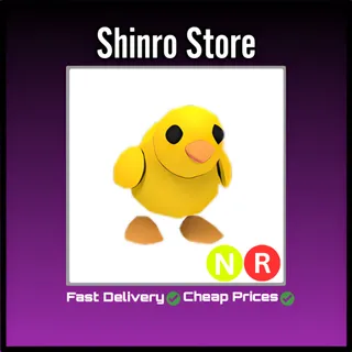 Nr Chick