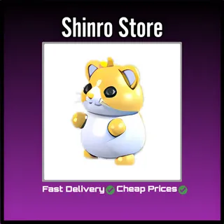 Golden Hamster