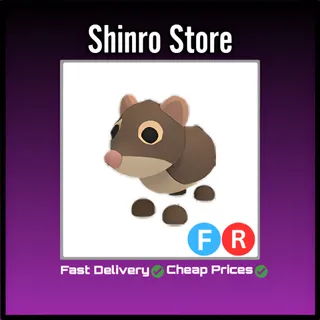 Fr Shrew