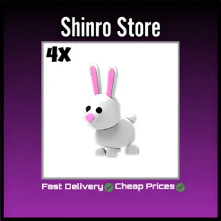 Bunny 4x