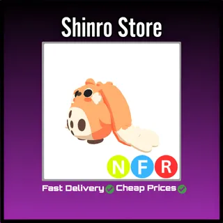 Nfr Cabbit