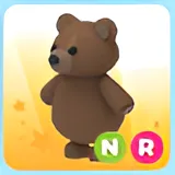 NR BROWN BEAR