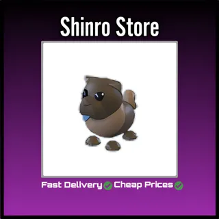 Chocolate Chow-Chow