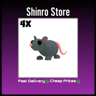 Rat 4x
