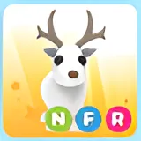 NFR ARCTIC REINDEER