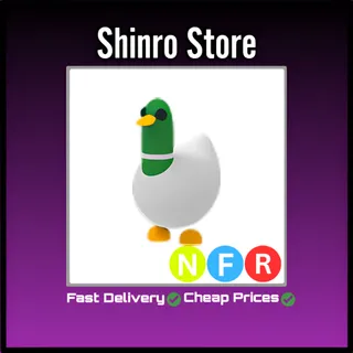 Nfr Silly Duck