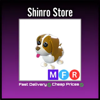 Mfr Brown Springer Spaniel