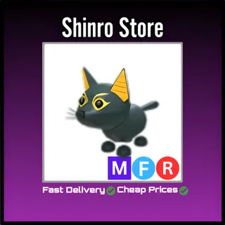 Mfr Abyssinian Cat