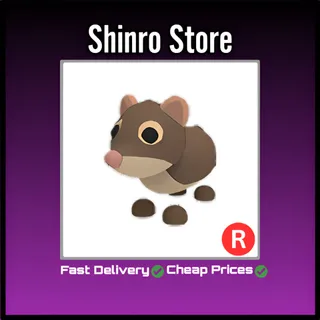 R Shrew