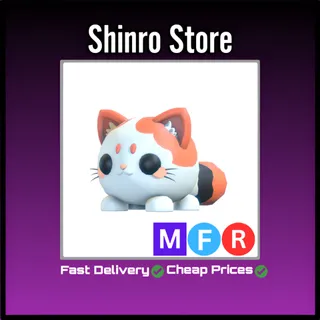 Mfr Mochi Meow