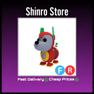 Fr Robo Dog