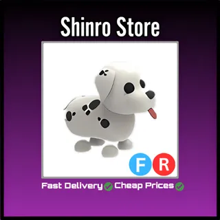 Fr Dalmatian