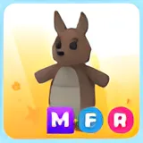 MFR KANGAROO