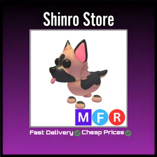 Mfr German Shepherd