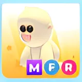 MFR SNOW MONKEY