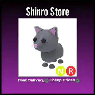 Nr Cat